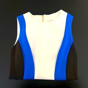 Calvin Klein Illusion Dress in Royal Blue, White and Black